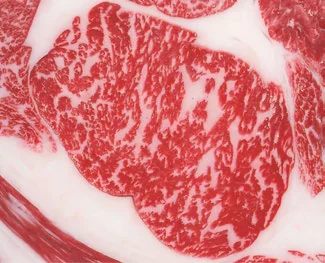 Wagyu marbling BMS 5